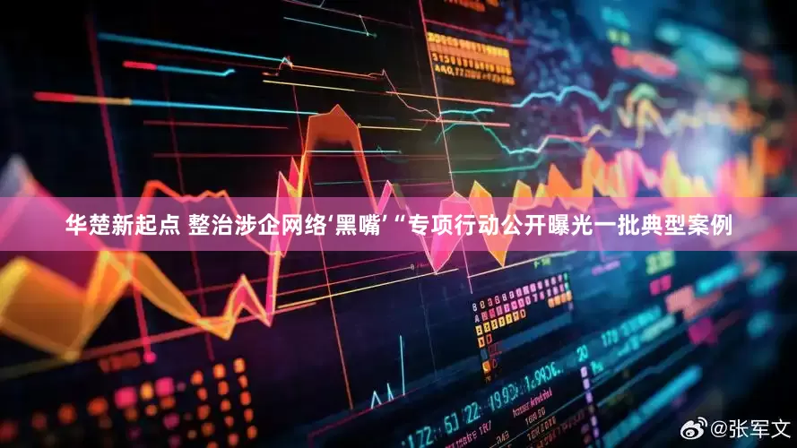 华楚新起点 整治涉企网络‘黑嘴’“专项行动公开曝光一批典型案例